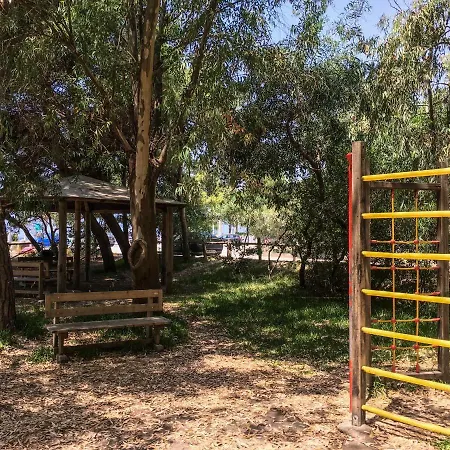 Bed & Breakfast Pineta Mare 3*