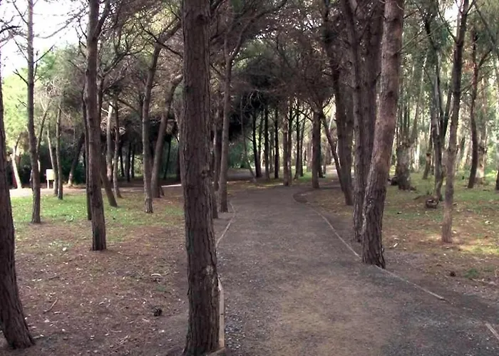 Pineta Mare למזיה טרמה